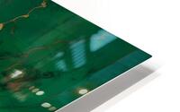 Jade Surprise HD Metal print