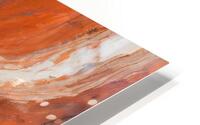 Petrified Wood HD Metal print