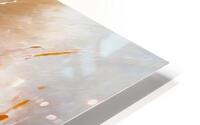 Outer Worlds and Inner Space HD Metal print