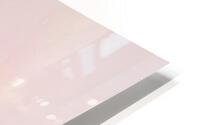 Rose Ribbons HD Metal print