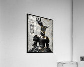 Agnes Crowley Acrylic Print