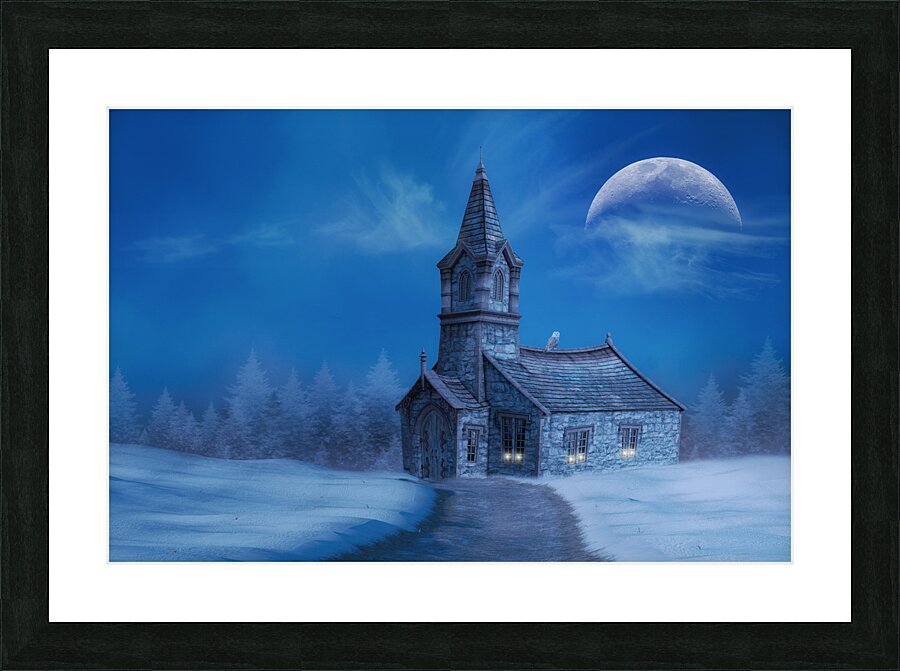 The Church Owl Picture Frame print