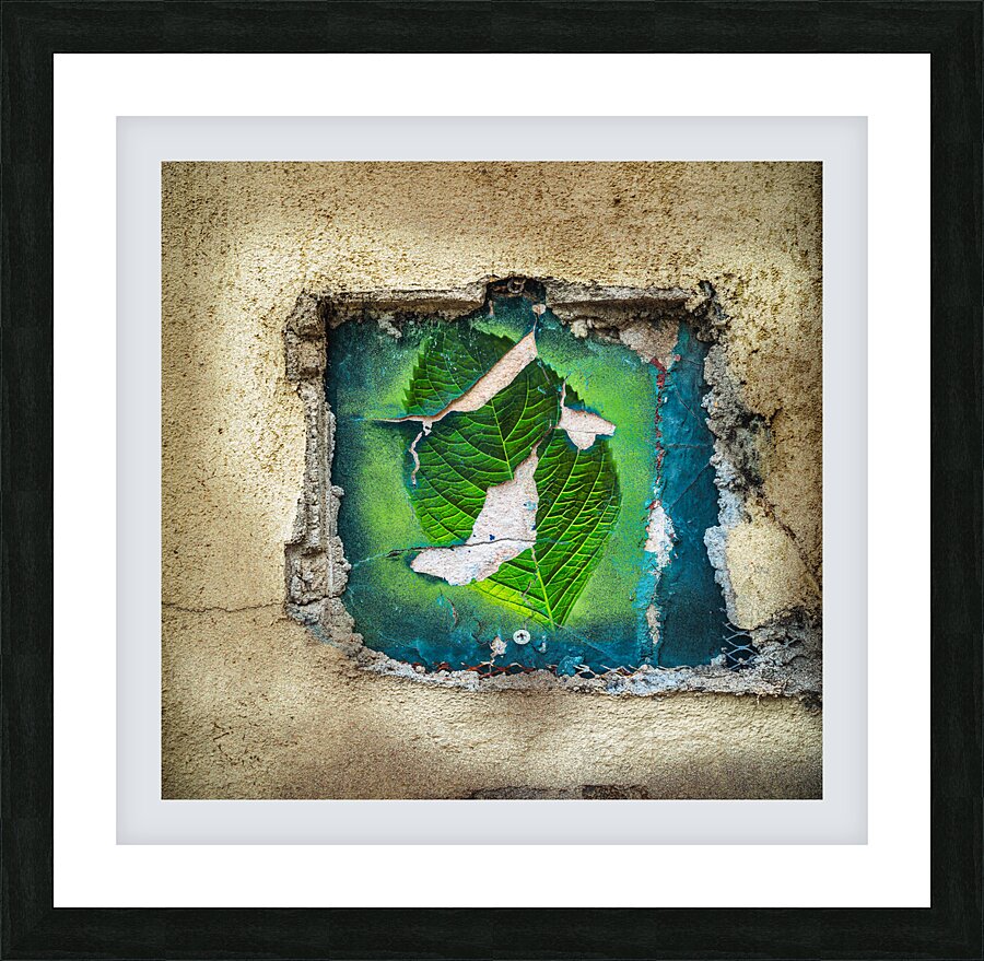 Wabi Sabi Hydrangea Leaf Picture Frame print