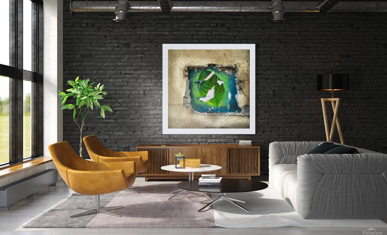 Wabi Sabi Hydrangea Leaf Reproduction