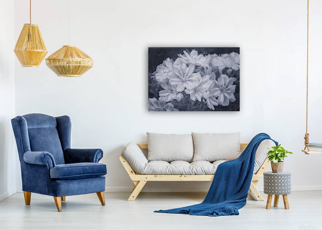 Flower Song Reproduction