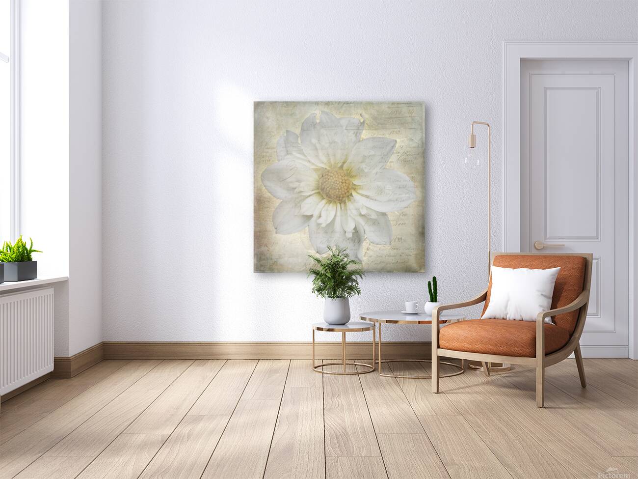 French Script White Dahlia Reproduction