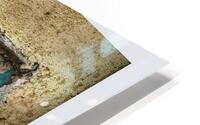 Wabi Sabi Hydrangea Leaf HD Metal print