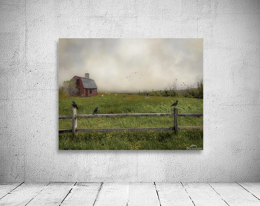 Crows On The Hill Wall Preview