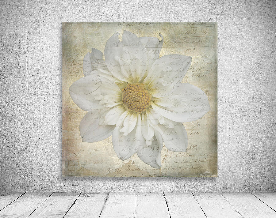 French Script White Dahlia Wall Preview