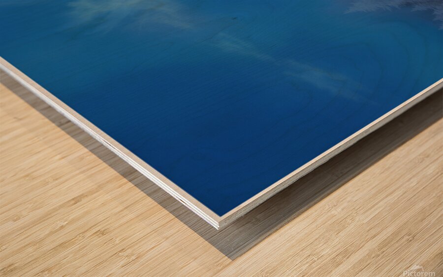 The Church Owl Wood print