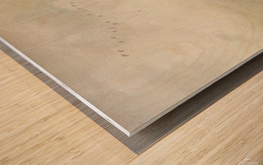 1717 Meeting house Wood print