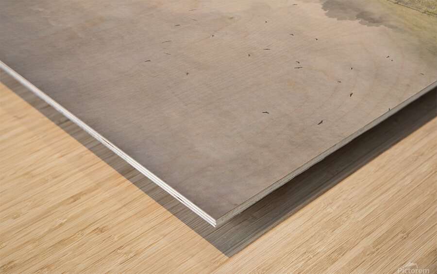 Keveney Barn Wood print