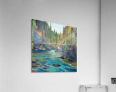 Forest Cascade Acrylic Print