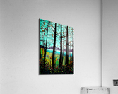Trees in Fall Acrylic Print