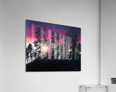 Purple Sunset Acrylic Print