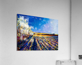 Clouds Roll In Acrylic Print