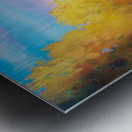 Road to Bear Flat Metal print