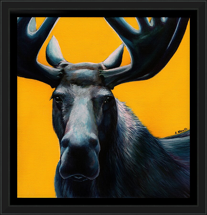 Moose Picture Frame print