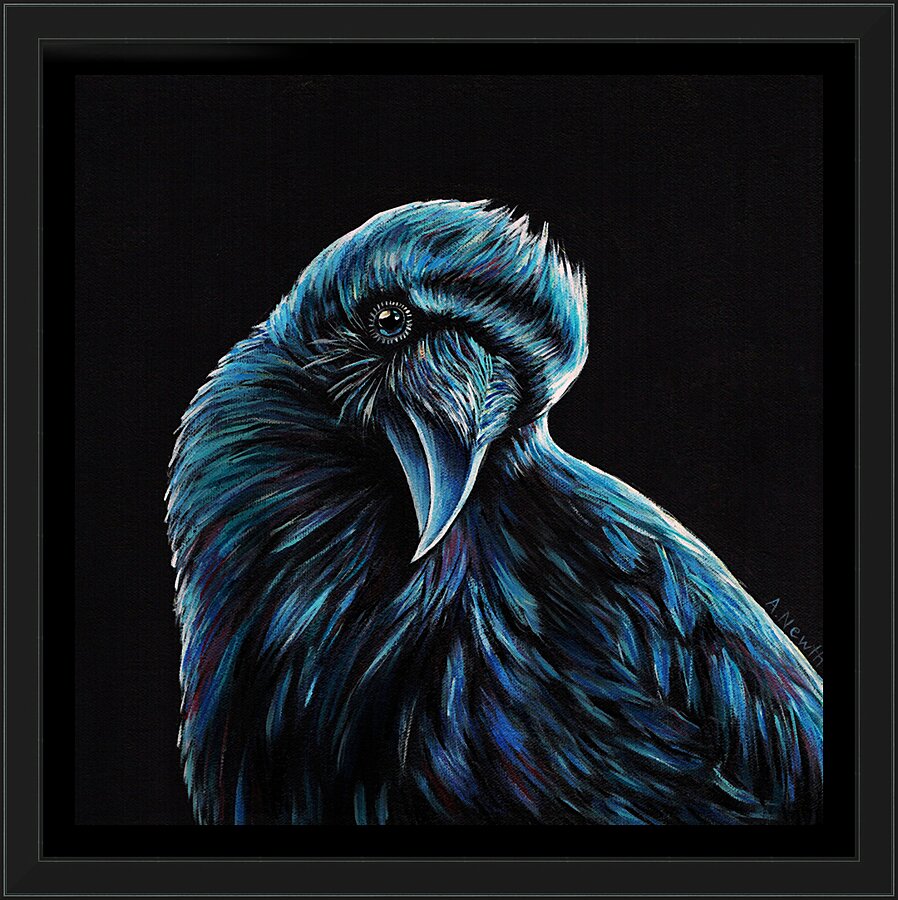 Curious Raven Picture Frame print
