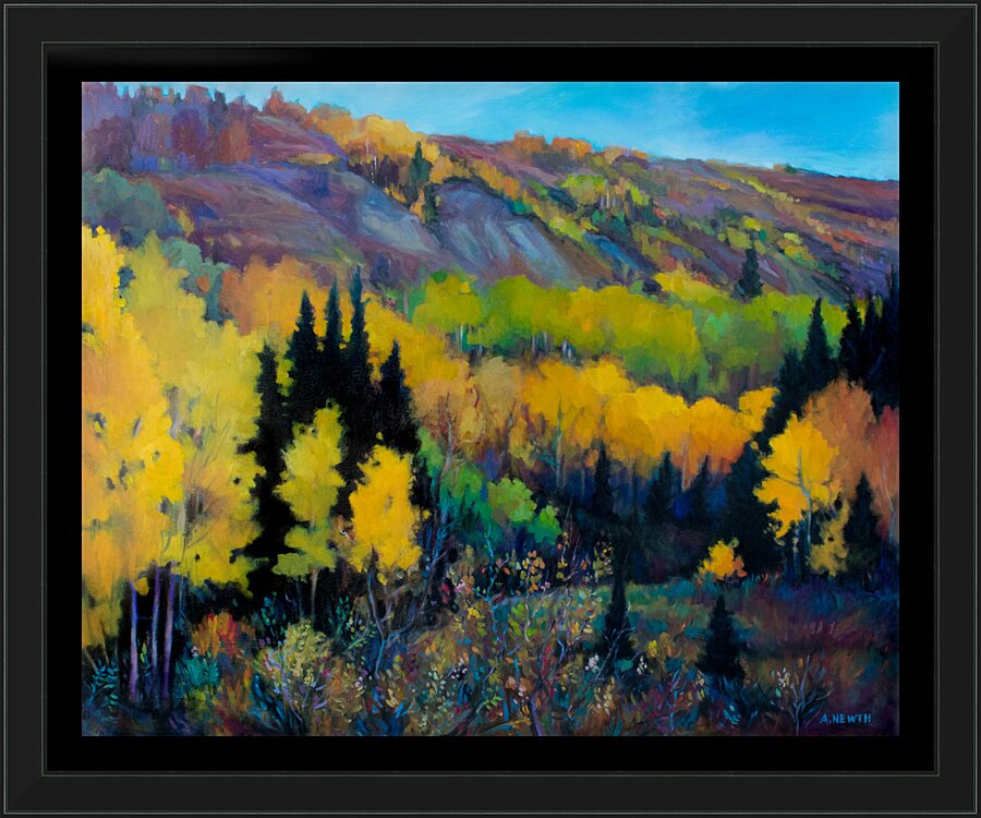 Montney Coulees Picture Frame print