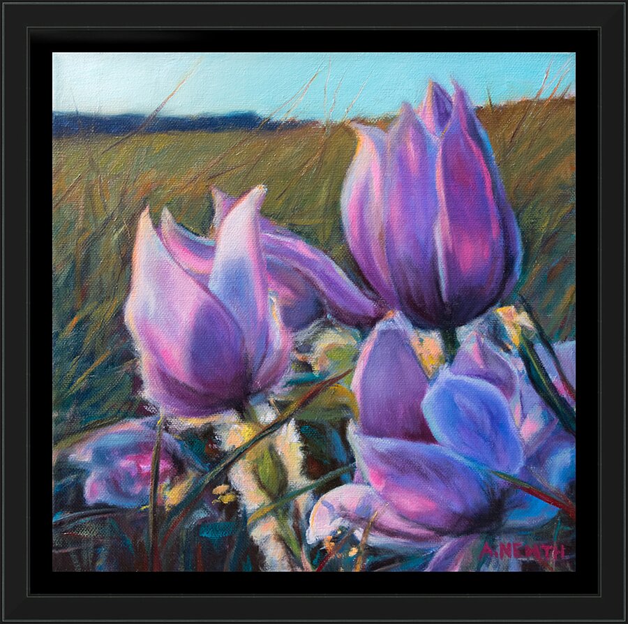 Crocus Picture Frame print
