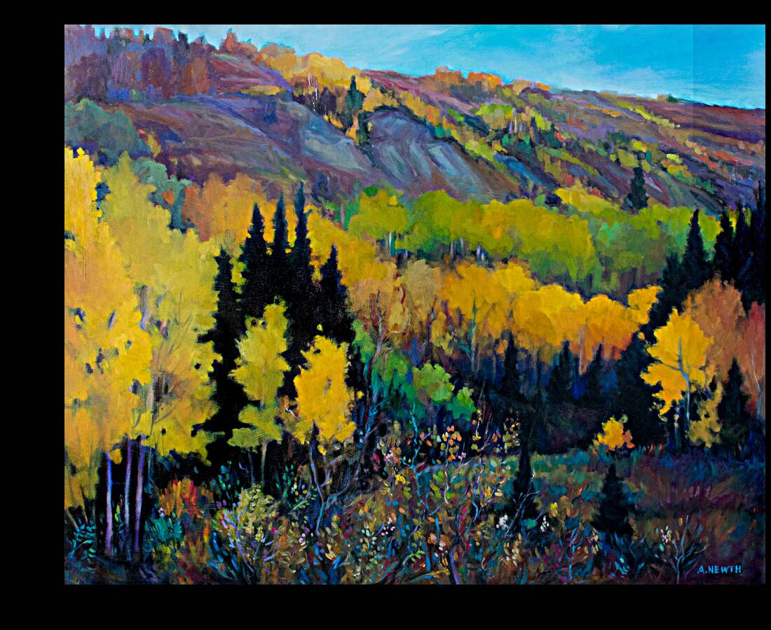 Montney Coulees Reproduction