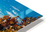 Moberly Lake HD Metal print