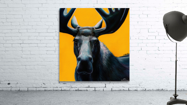 Moose Wall Preview