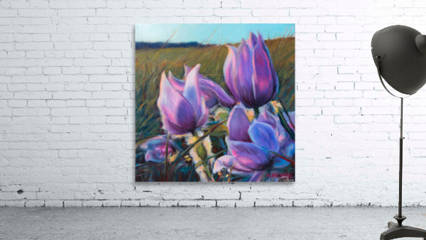 Crocus Wall Preview
