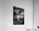 Bamboo Glow Acrylic Print