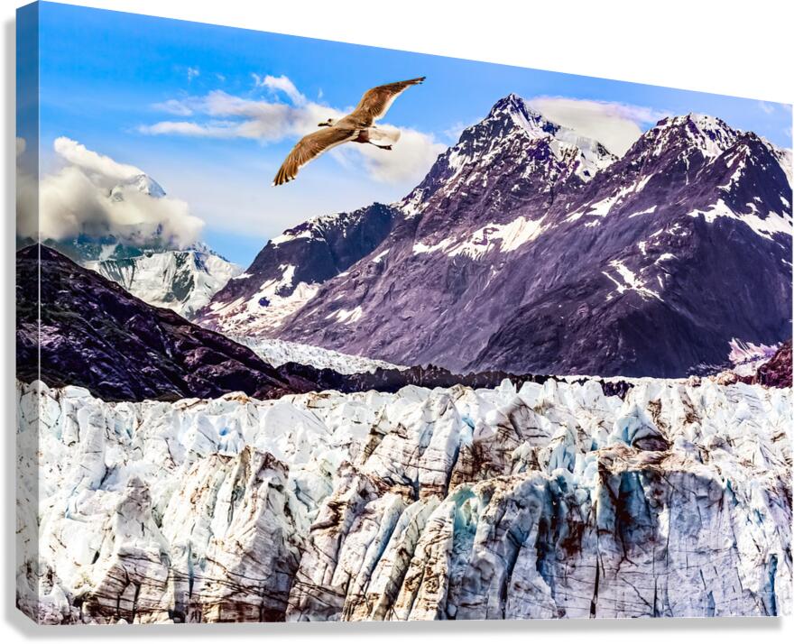 Glacier Bay Canvas Print