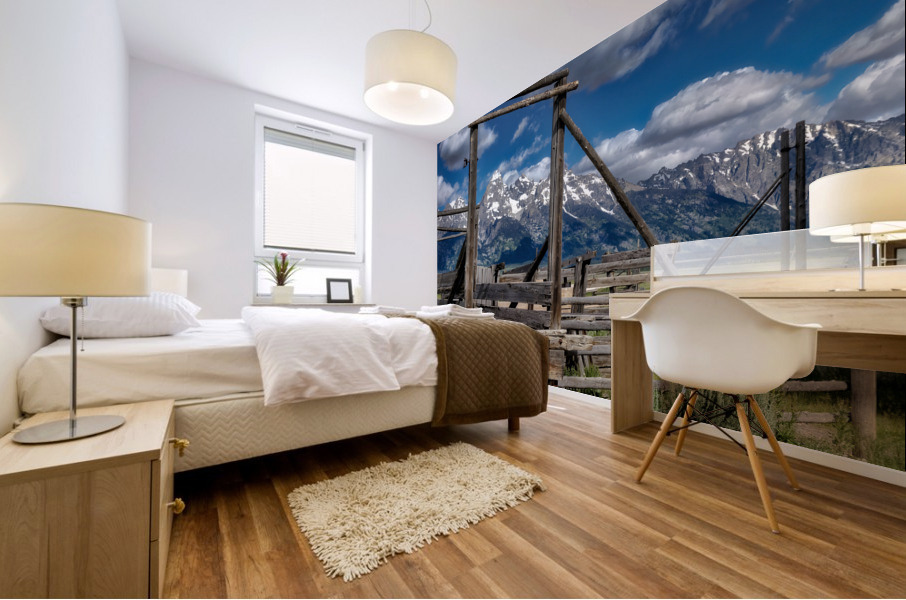 Mormon Row Mural print