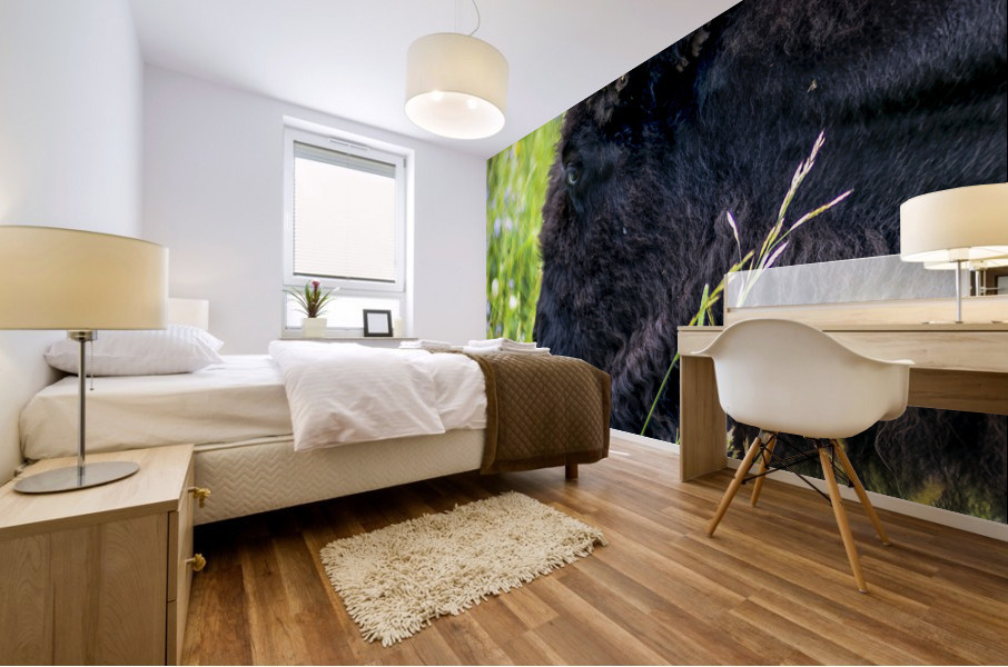 Buffalo Mural print