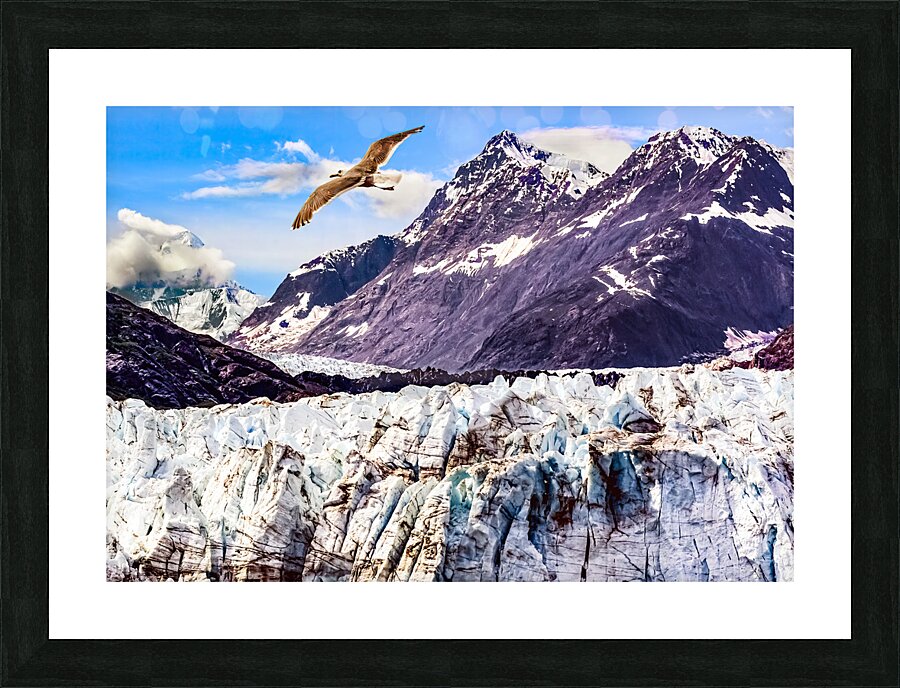 Glacier Bay Picture Frame print