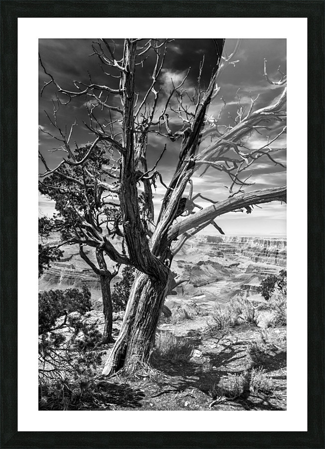The Creators Work Picture Frame print