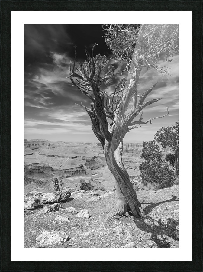 The Creators Work II Picture Frame print