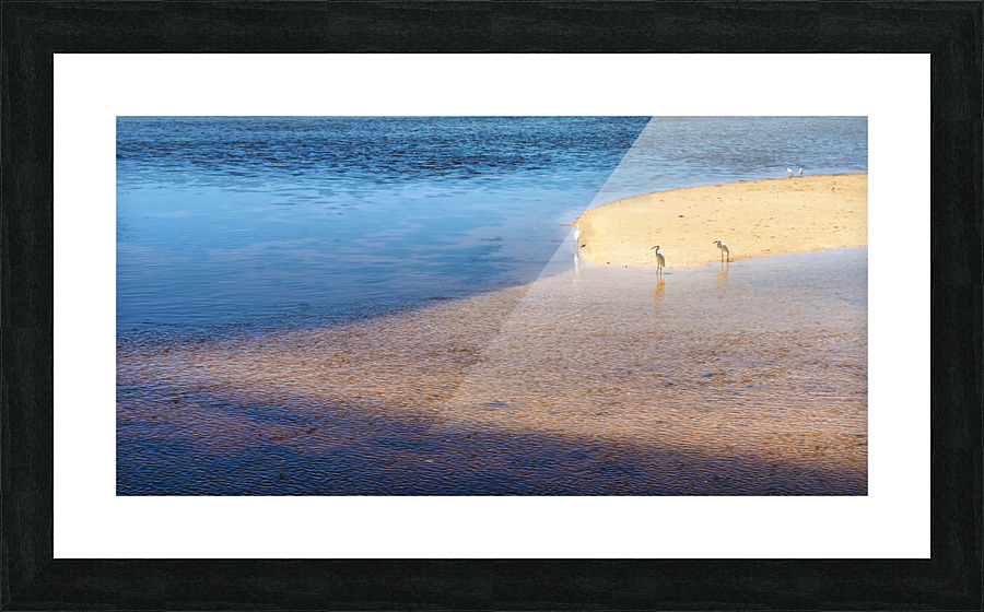 Sanibel Picture Frame print