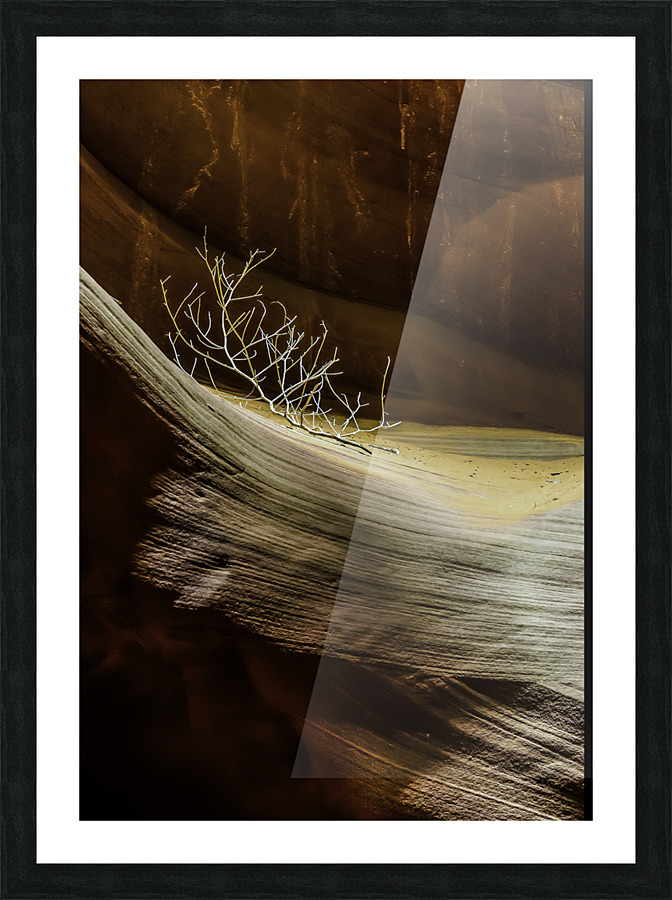 Canyon Debris Picture Frame print