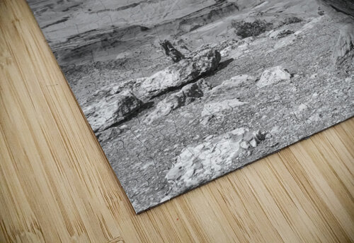 The Creators Work II James Black puzzle