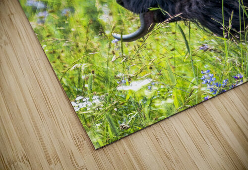 Buffalo James Black puzzle