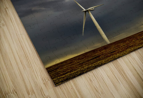 Electric Wind James Black puzzle