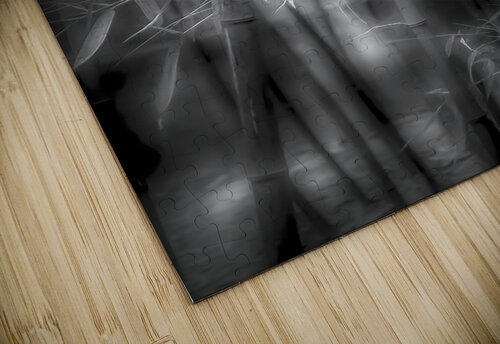 Bamboo Glow James Black puzzle