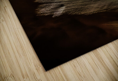Canyon Debris James Black puzzle