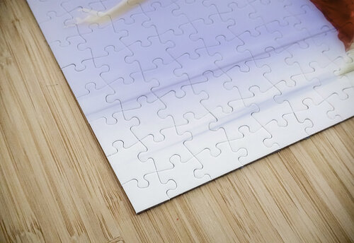Lily James Black puzzle