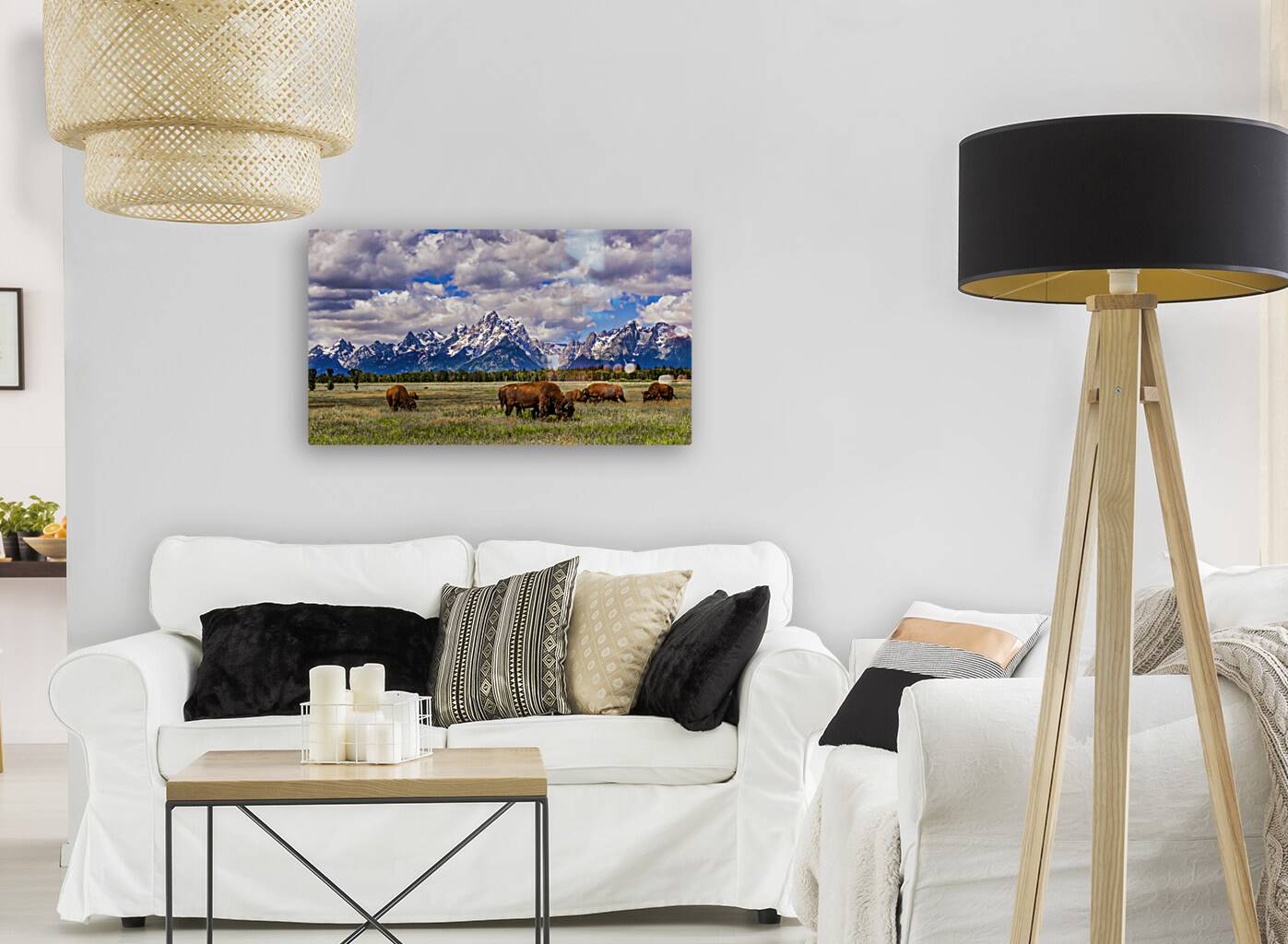 Teton Buffalo Reproduction