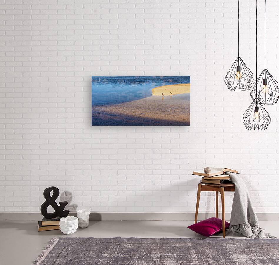 Sanibel Reproduction