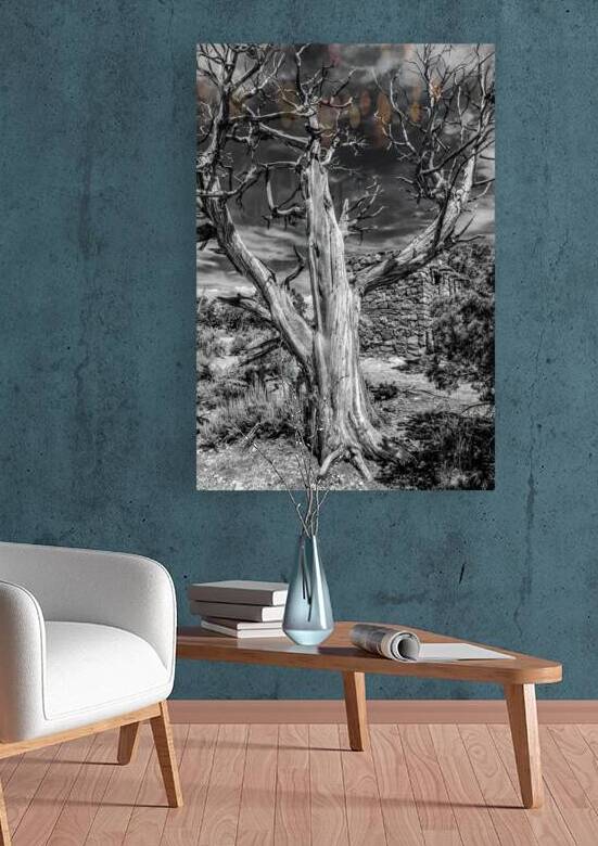 Still Standing Reproduction