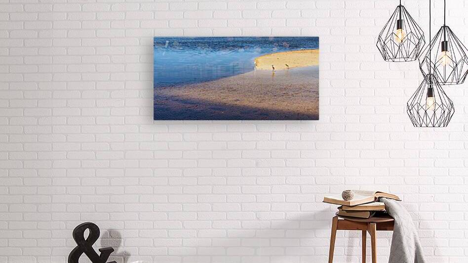 Sanibel by James Black