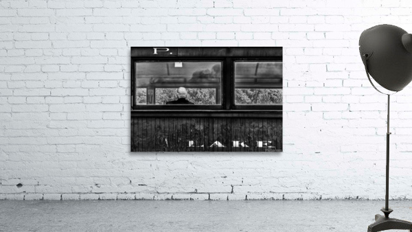Homeward Bound Wall Preview