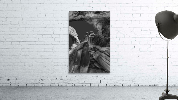 Double Arch Wall Preview